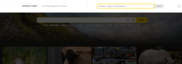 Yandex поиск по фотографии