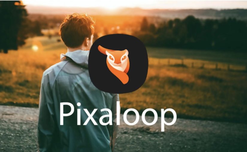 Pixaloop